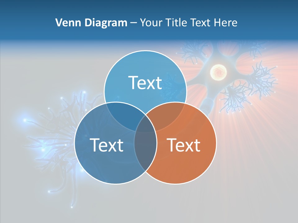 Anatomy Energy D PowerPoint Template