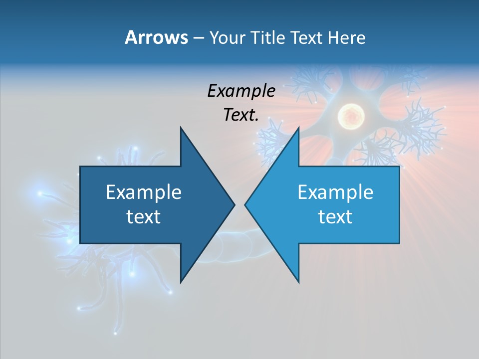 Anatomy Energy D PowerPoint Template
