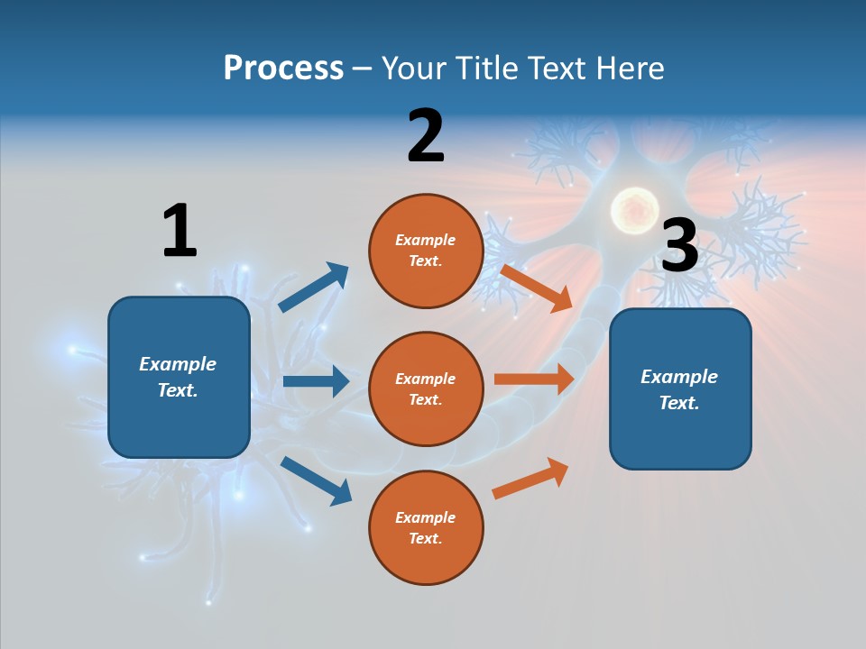 Anatomy Energy D PowerPoint Template