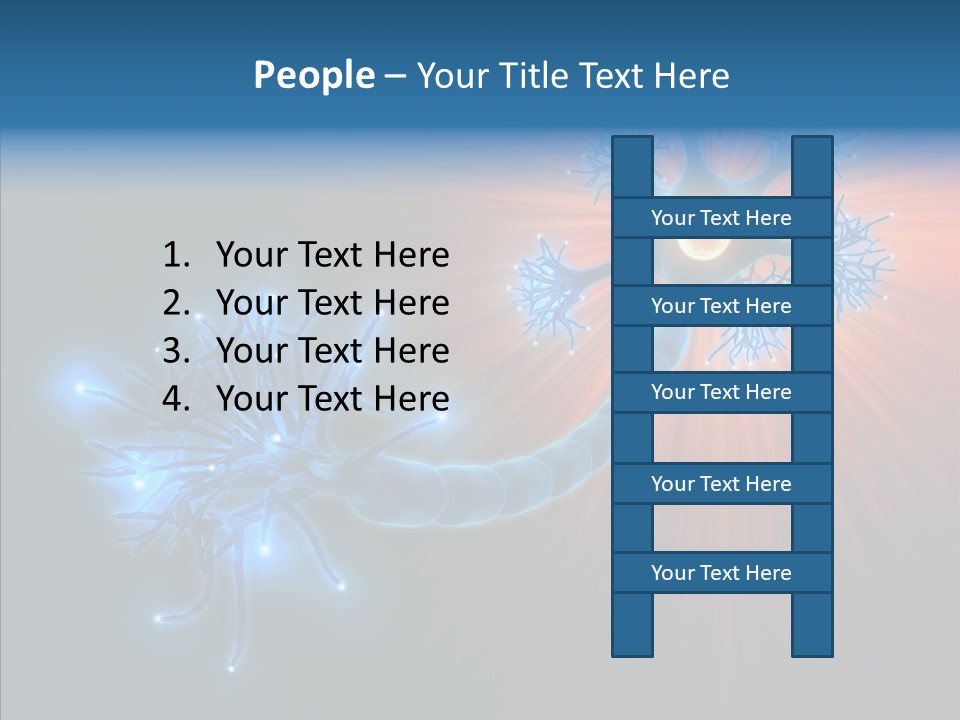 Anatomy Energy D PowerPoint Template