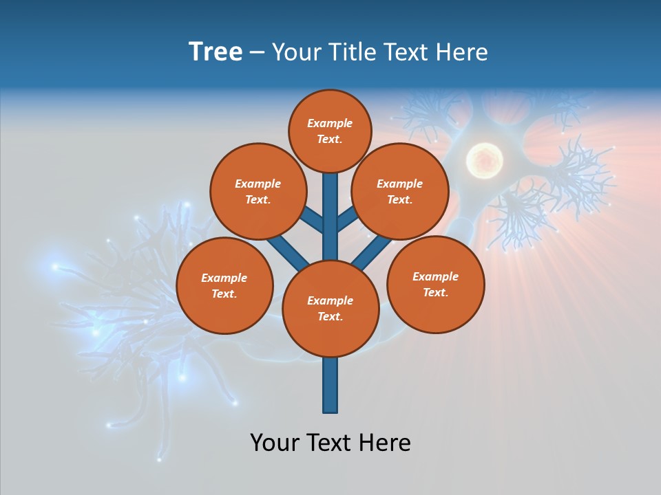 Anatomy Energy D PowerPoint Template