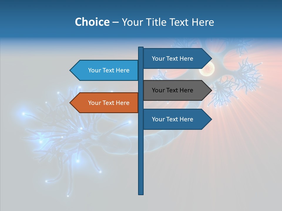 Anatomy Energy D PowerPoint Template