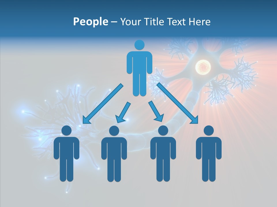 Anatomy Energy D PowerPoint Template