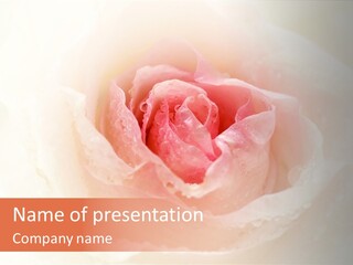Valentines Gift Love PowerPoint Template