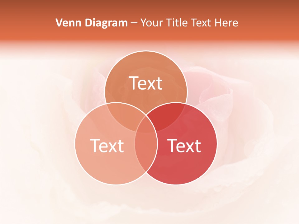 Valentines Gift Love PowerPoint Template