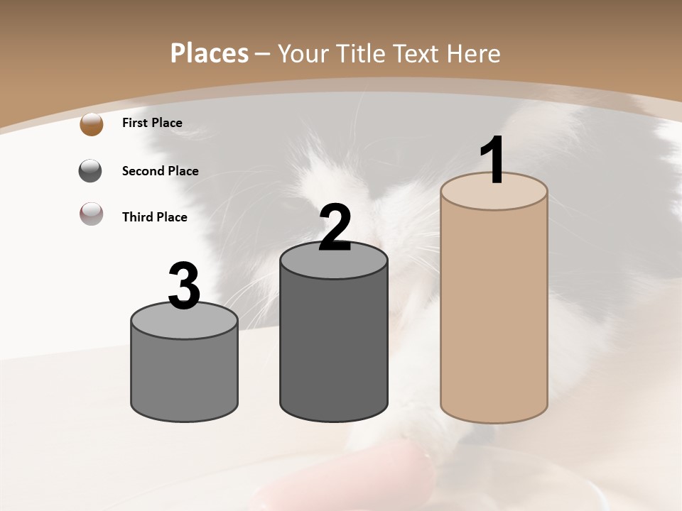 Wool Fur Mammal PowerPoint Template