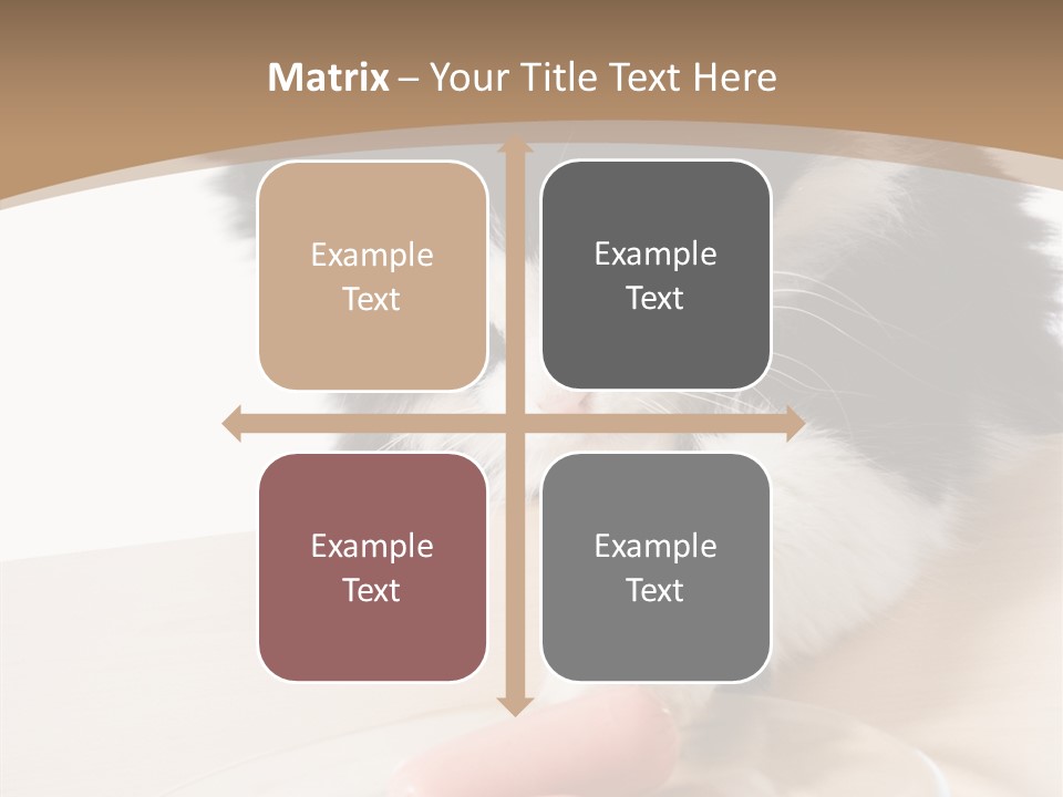 Wool Fur Mammal PowerPoint Template