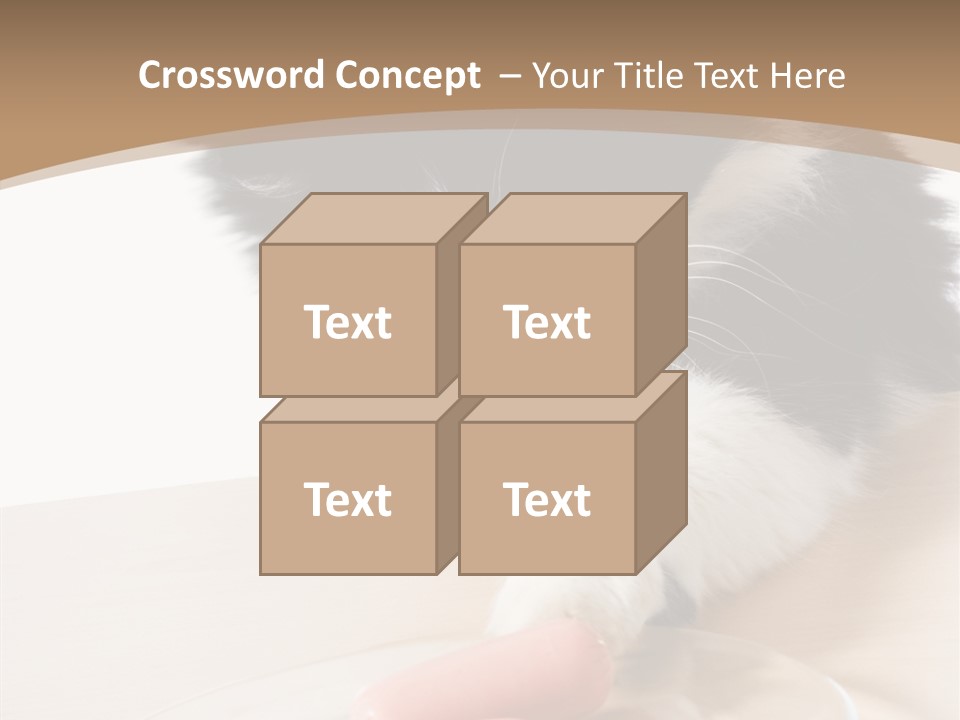 Wool Fur Mammal PowerPoint Template