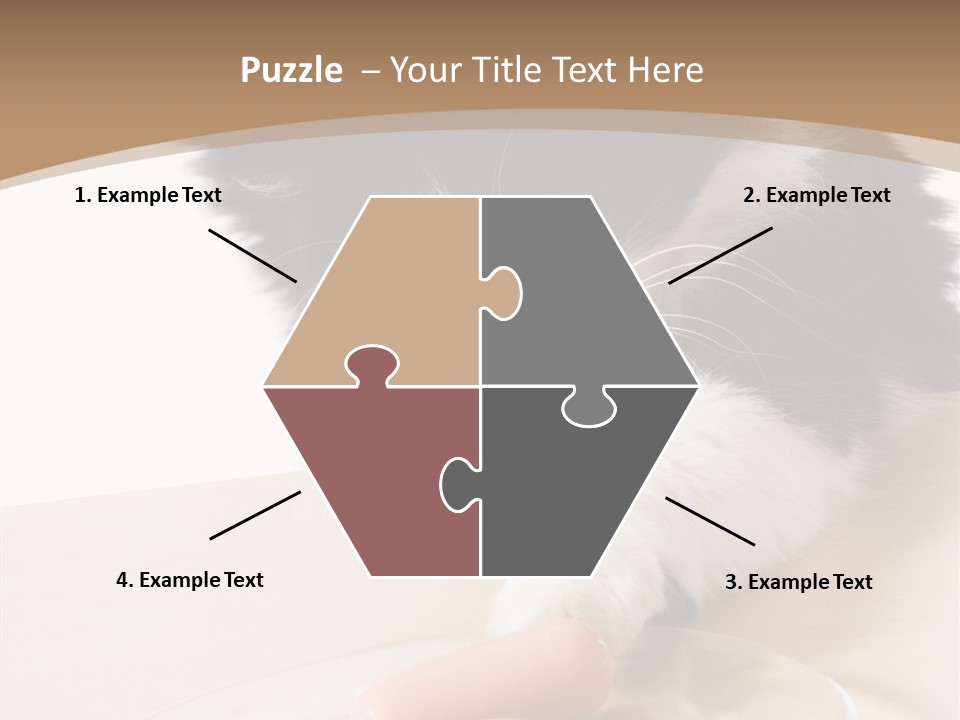 Wool Fur Mammal PowerPoint Template