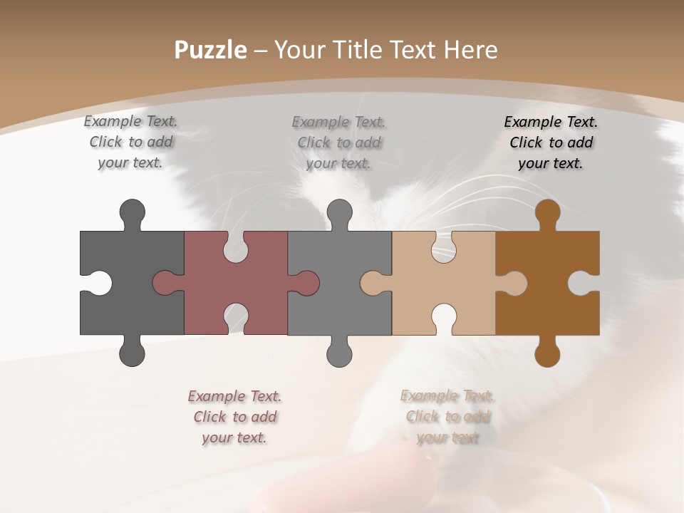 Wool Fur Mammal PowerPoint Template