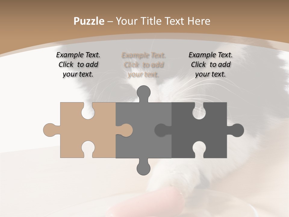 Wool Fur Mammal PowerPoint Template