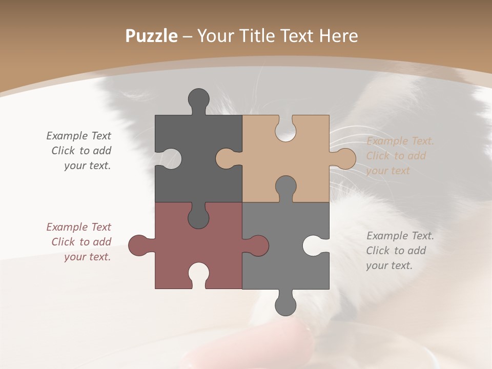 Wool Fur Mammal PowerPoint Template