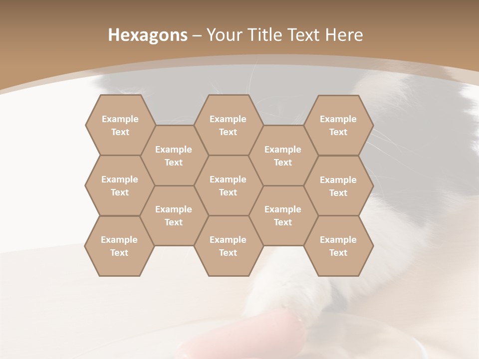 Wool Fur Mammal PowerPoint Template