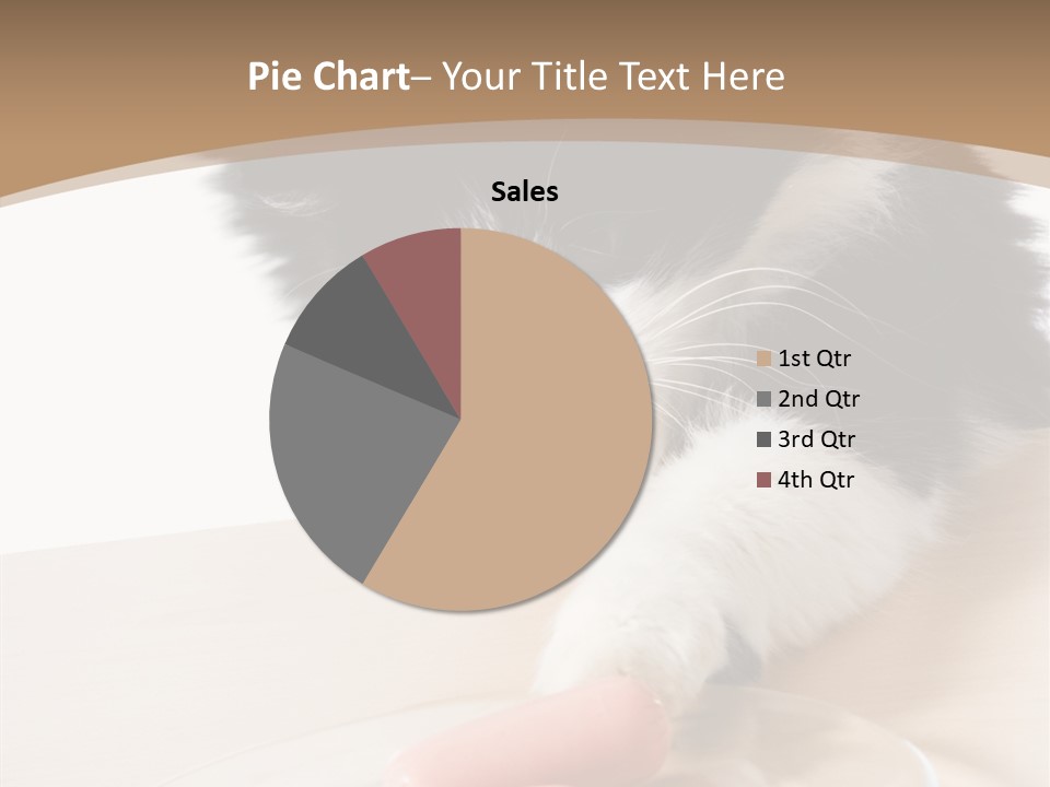 Wool Fur Mammal PowerPoint Template