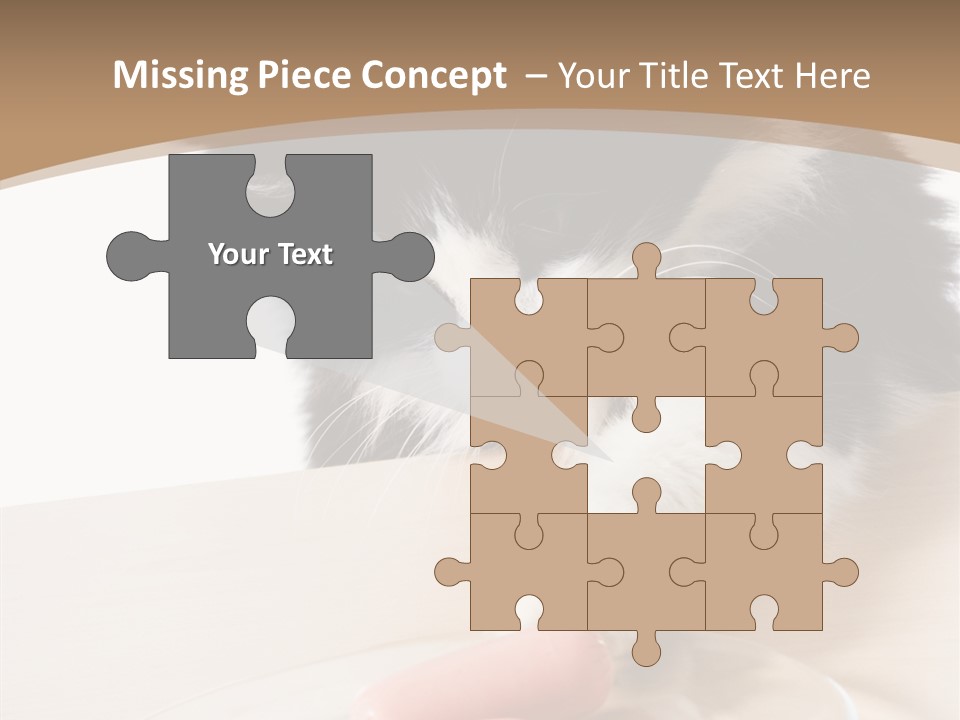 Wool Fur Mammal PowerPoint Template