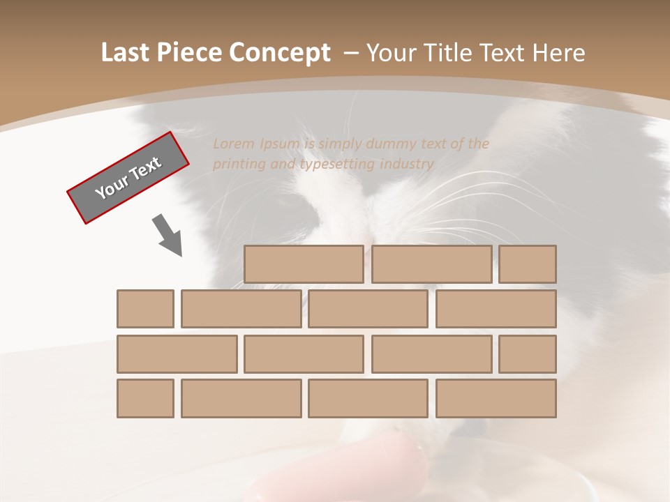 Wool Fur Mammal PowerPoint Template