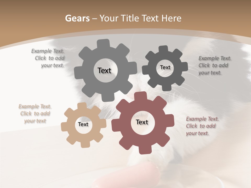 Wool Fur Mammal PowerPoint Template