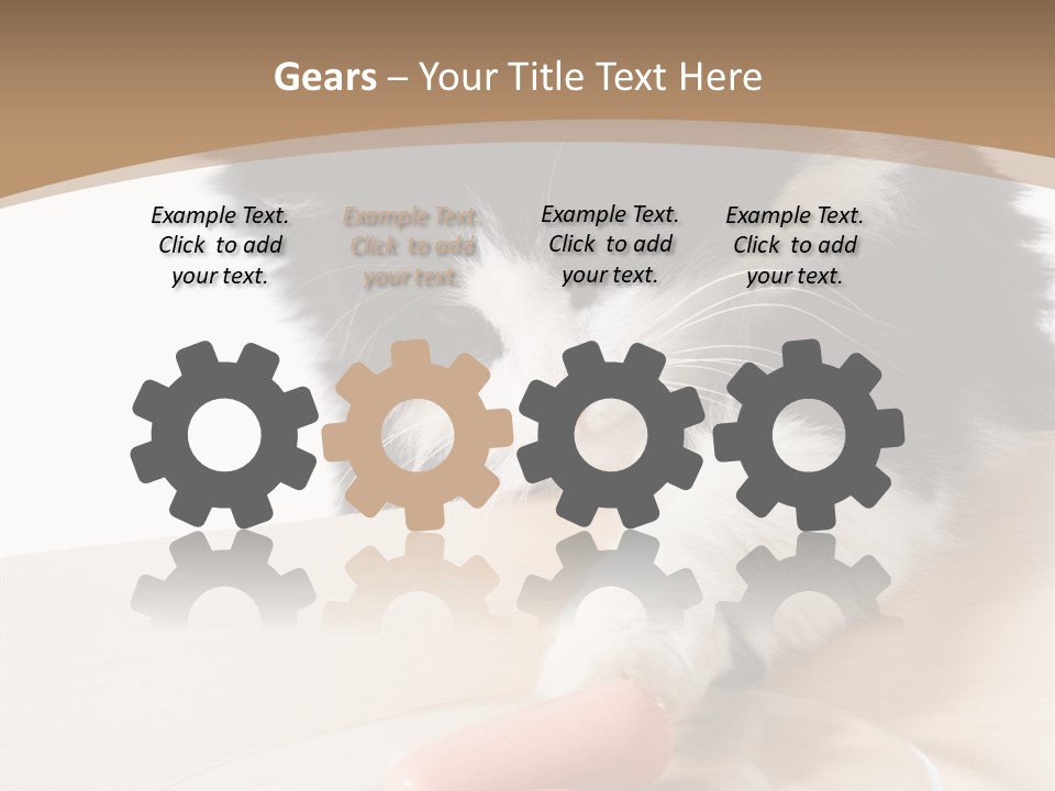 Wool Fur Mammal PowerPoint Template