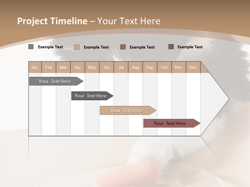 Wool Fur Mammal PowerPoint Template