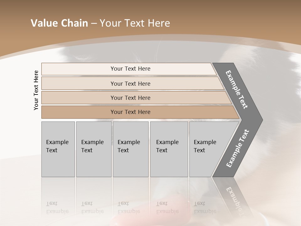 Wool Fur Mammal PowerPoint Template