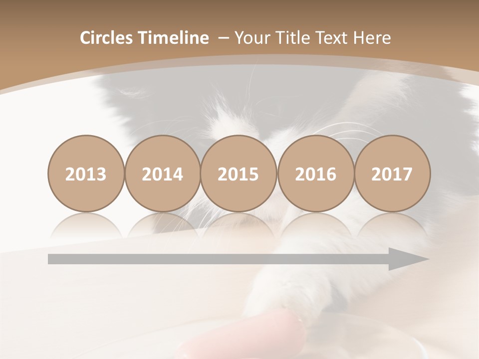 Wool Fur Mammal PowerPoint Template