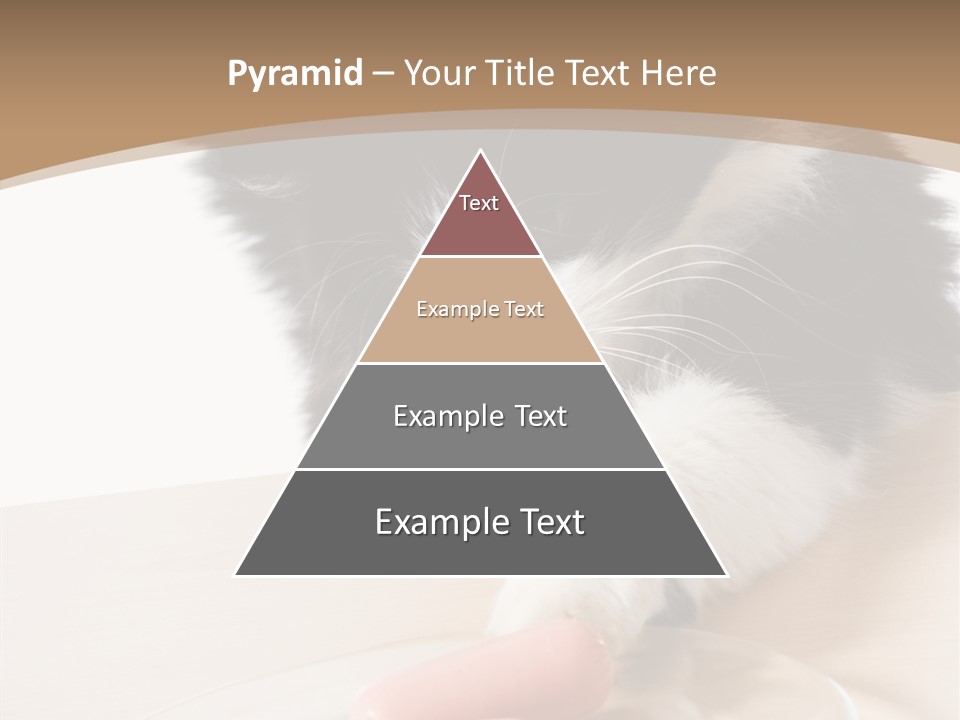 Wool Fur Mammal PowerPoint Template