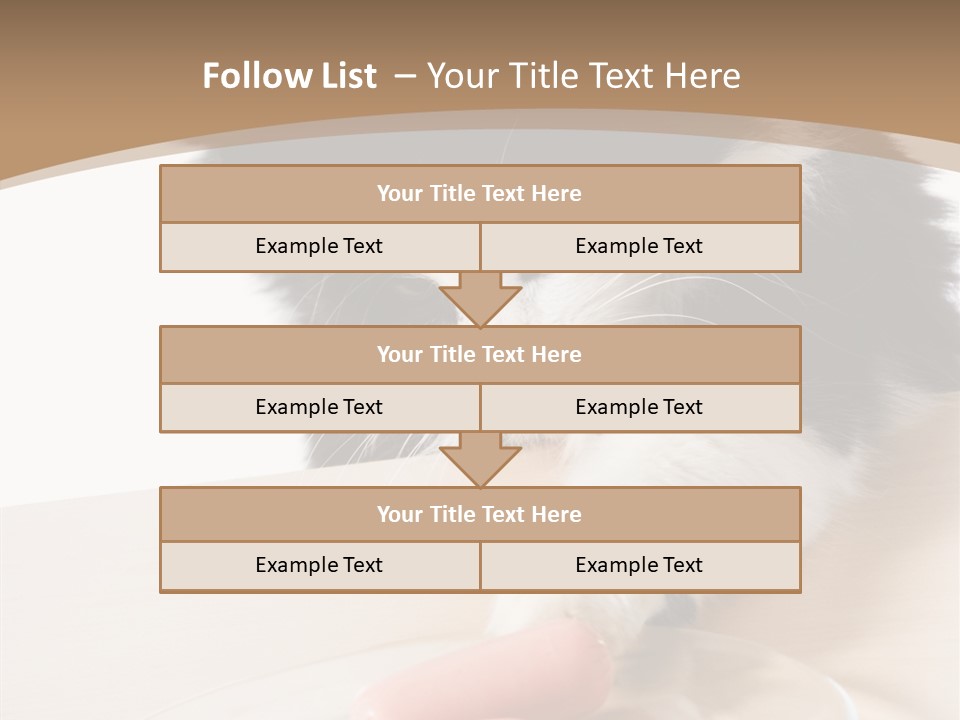 Wool Fur Mammal PowerPoint Template