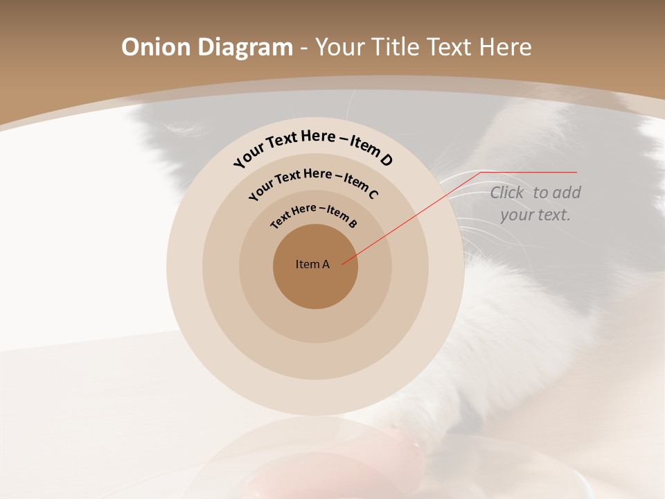 Wool Fur Mammal PowerPoint Template