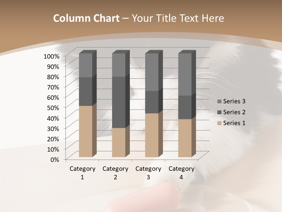 Wool Fur Mammal PowerPoint Template