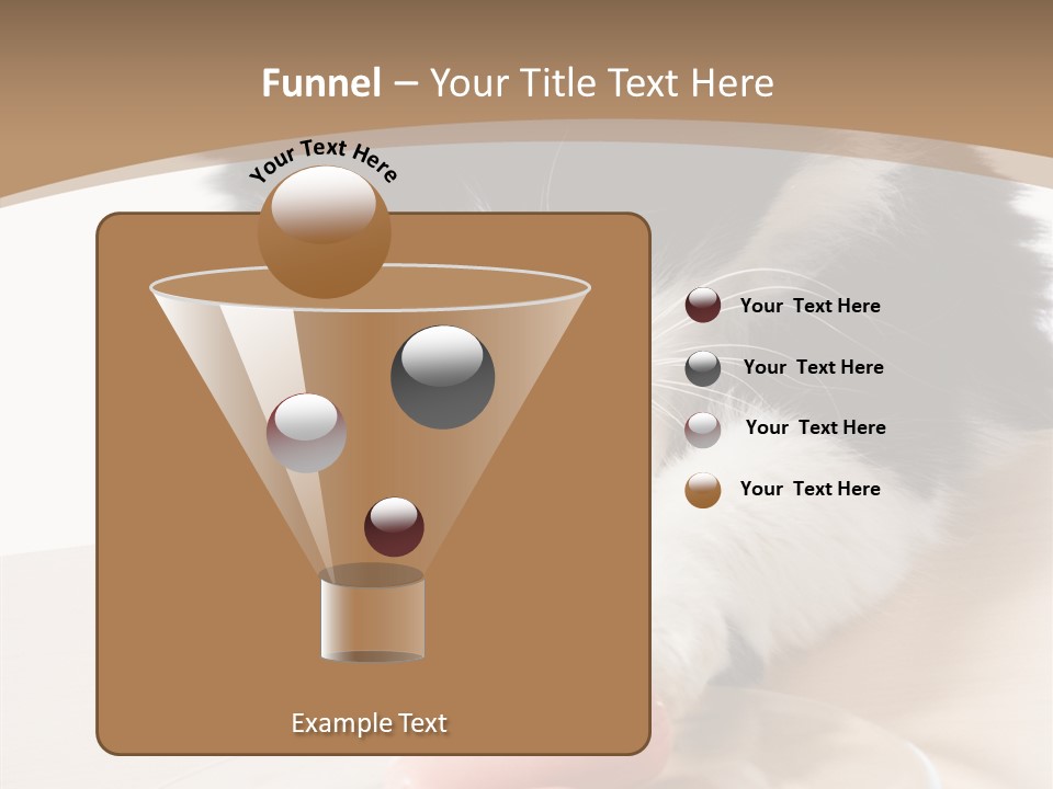 Wool Fur Mammal PowerPoint Template