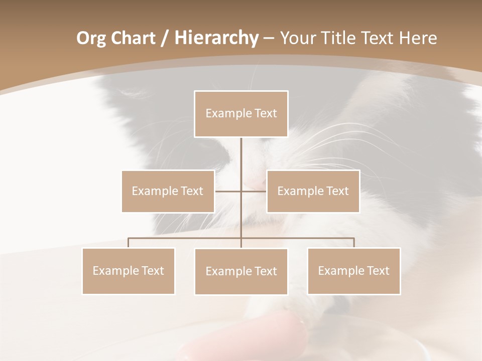 Wool Fur Mammal PowerPoint Template