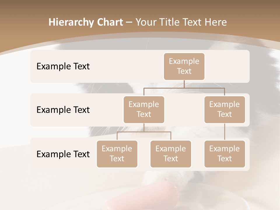 Wool Fur Mammal PowerPoint Template