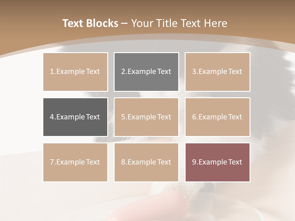 Wool Fur Mammal PowerPoint Template