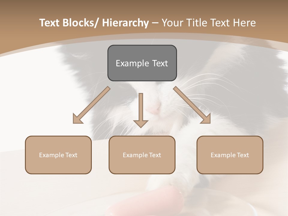 Wool Fur Mammal PowerPoint Template