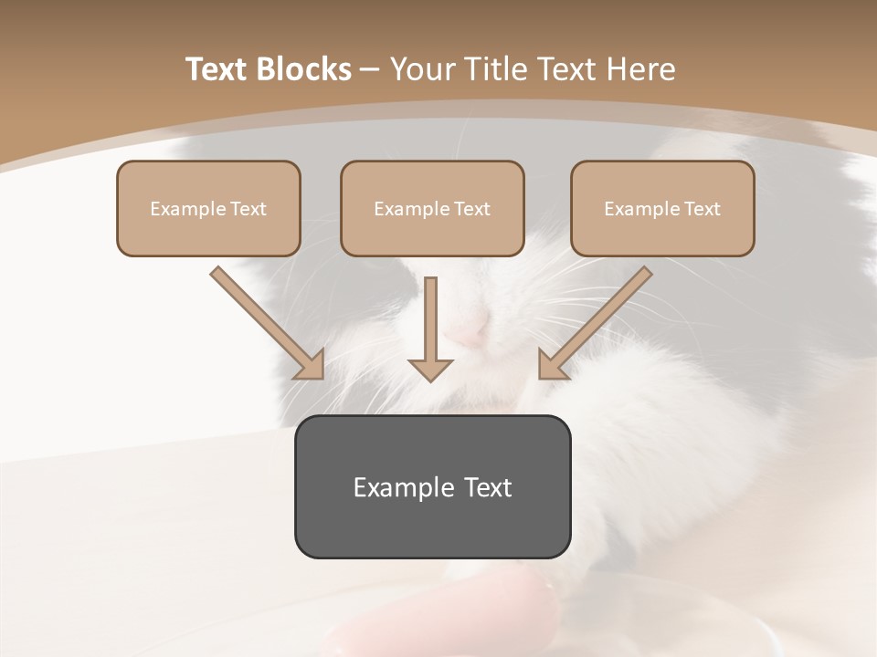 Wool Fur Mammal PowerPoint Template