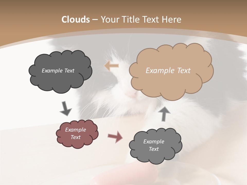 Wool Fur Mammal PowerPoint Template
