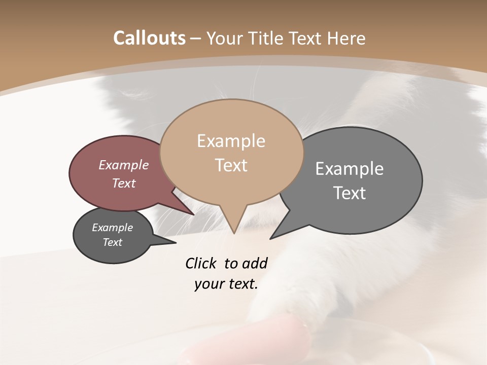 Wool Fur Mammal PowerPoint Template