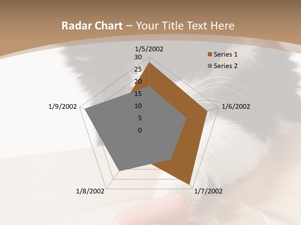 Wool Fur Mammal PowerPoint Template