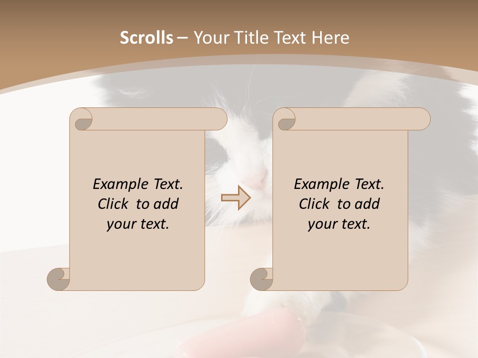 Wool Fur Mammal PowerPoint Template