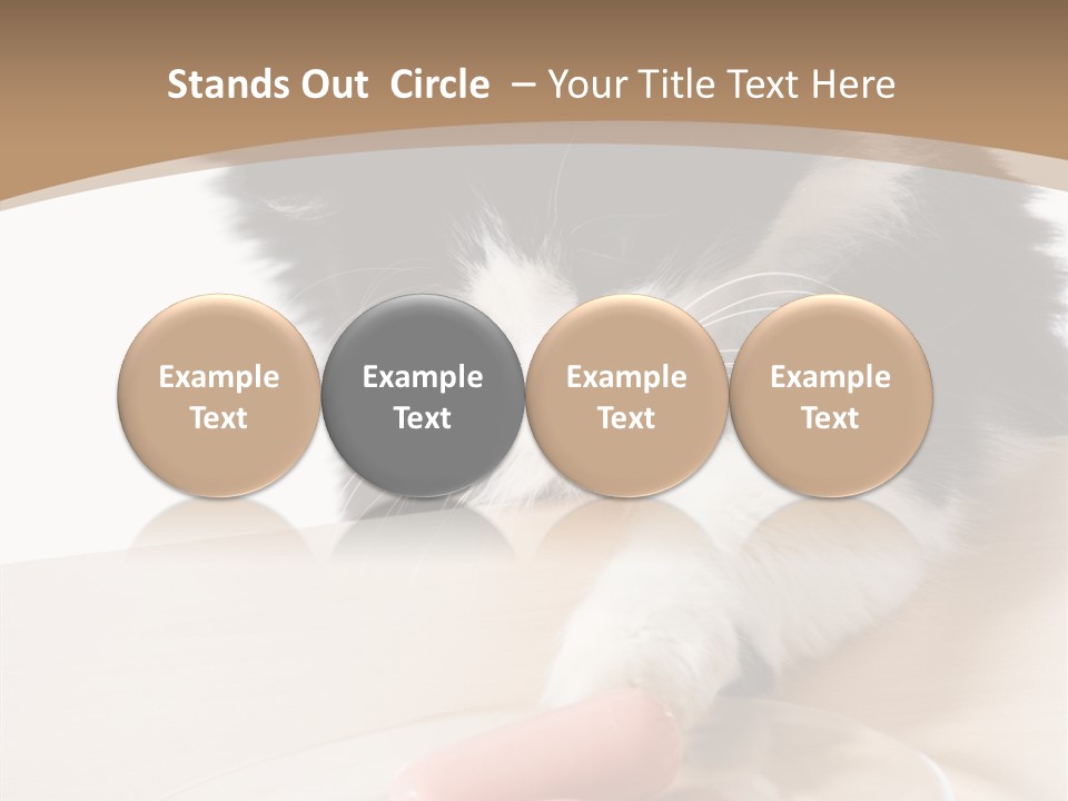 Wool Fur Mammal PowerPoint Template