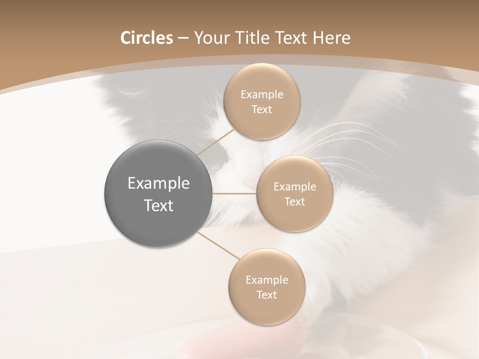 Wool Fur Mammal PowerPoint Template