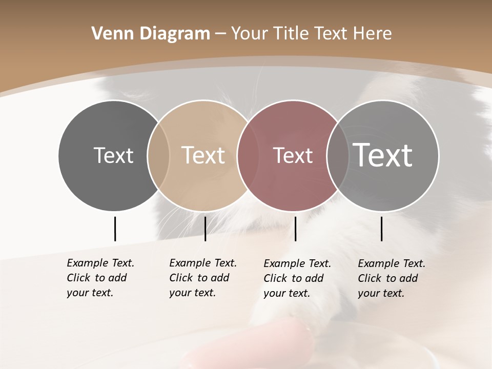 Wool Fur Mammal PowerPoint Template