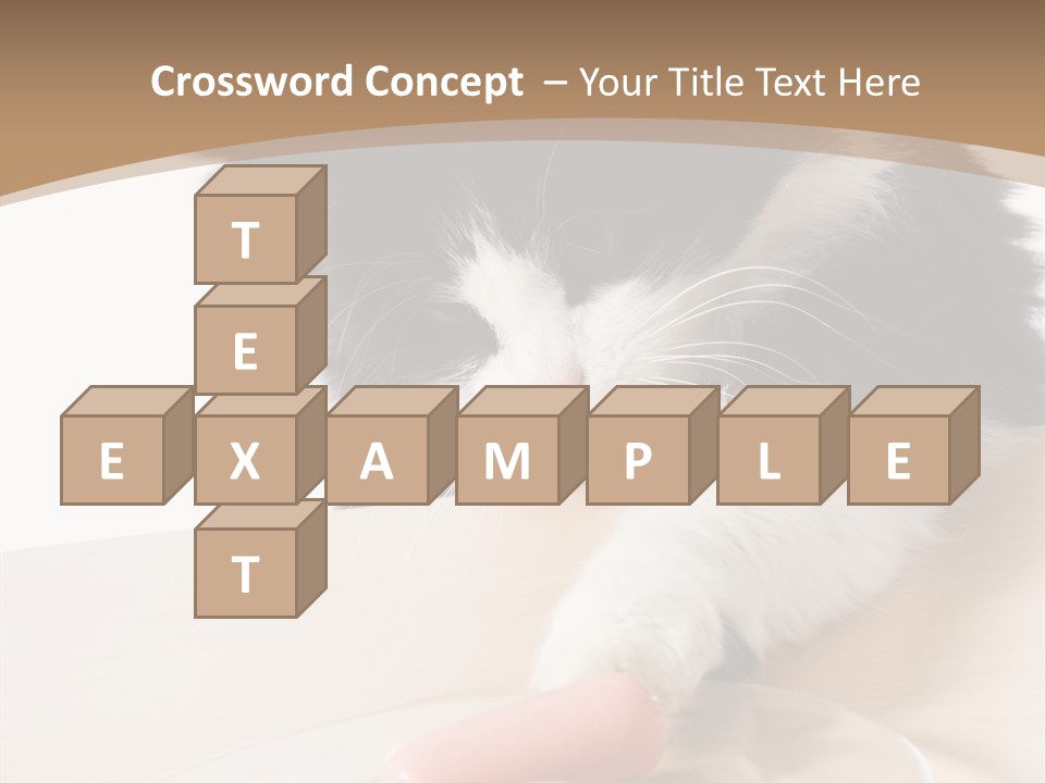 Wool Fur Mammal PowerPoint Template