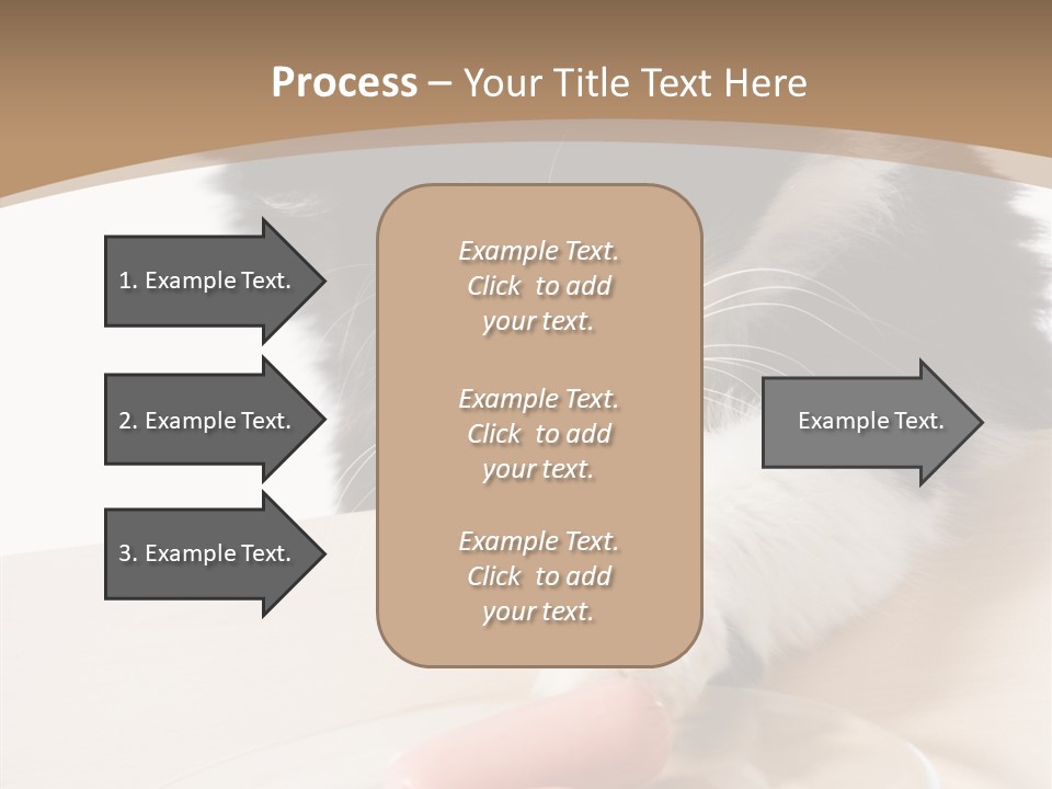 Wool Fur Mammal PowerPoint Template