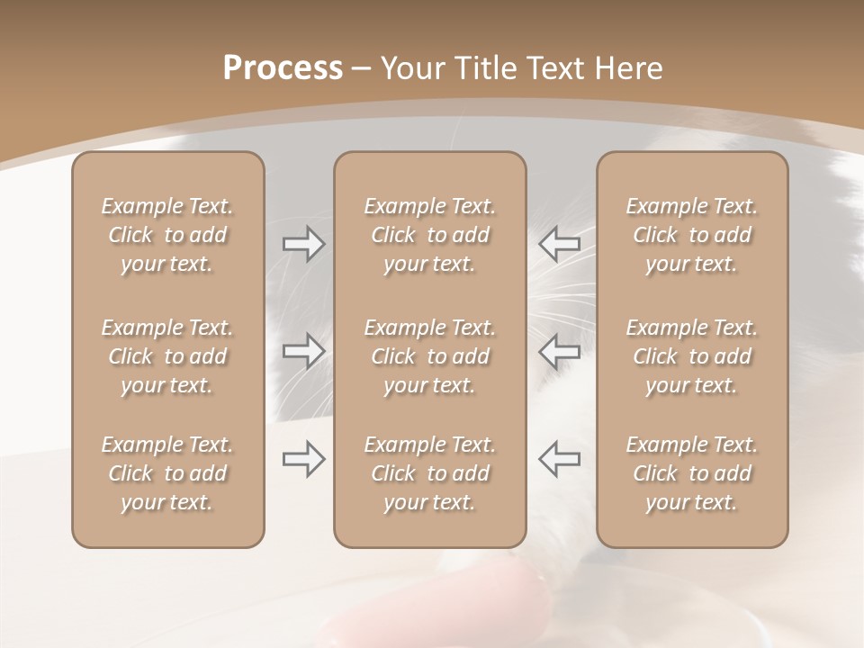 Wool Fur Mammal PowerPoint Template