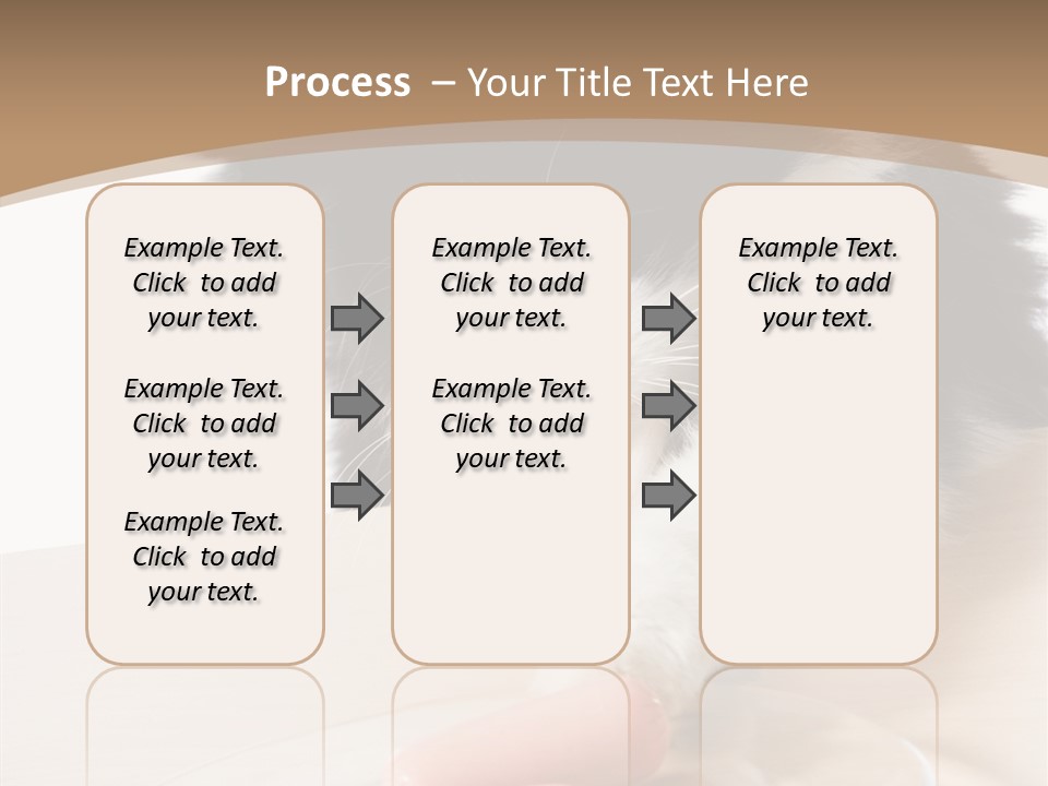 Wool Fur Mammal PowerPoint Template