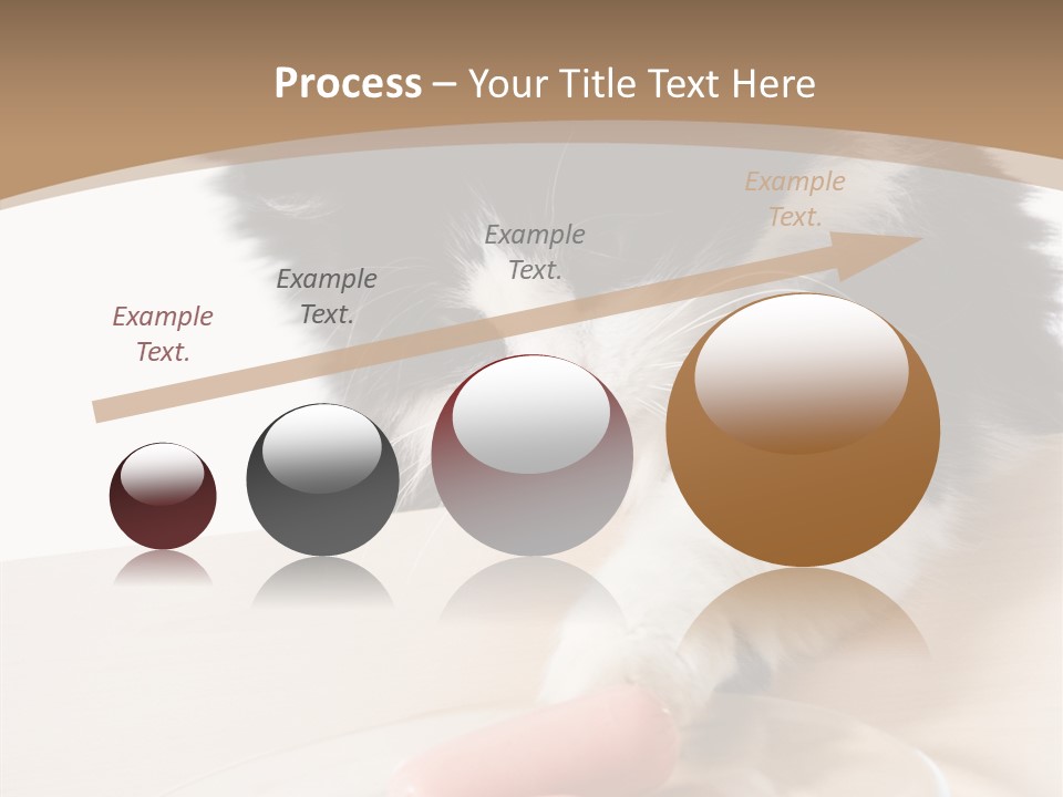 Wool Fur Mammal PowerPoint Template