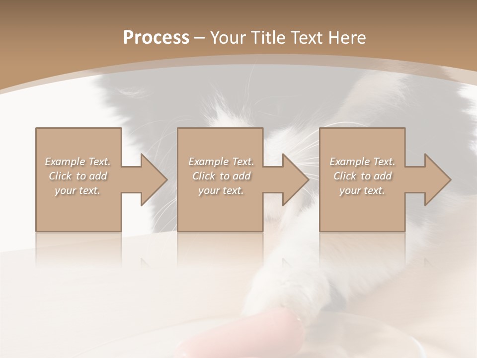 Wool Fur Mammal PowerPoint Template