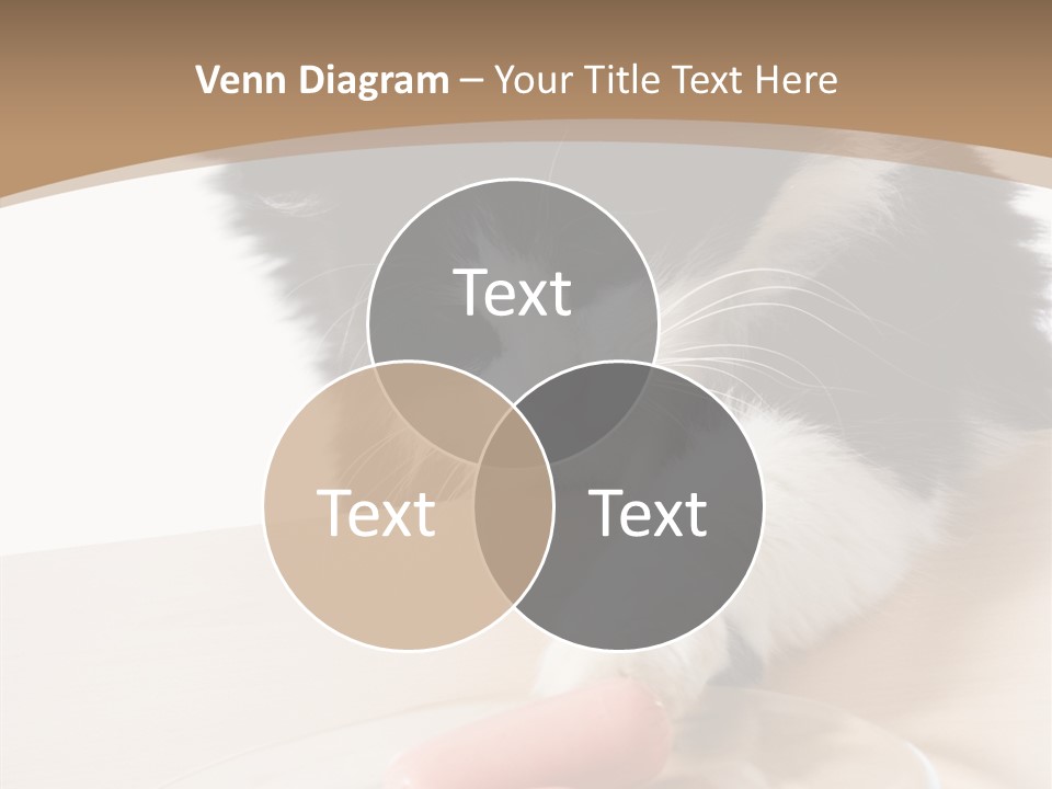 Wool Fur Mammal PowerPoint Template