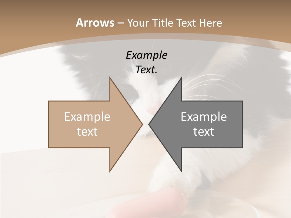 Wool Fur Mammal PowerPoint Template